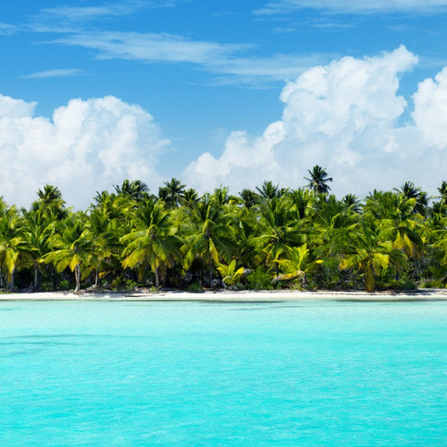 Caribbean Teakwood Candle